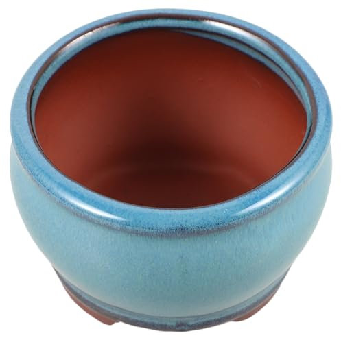 Happyyami Para Suculentas y Pequeñas De Escritorio Diseño Elegante y Orificios De Drenaje para Decoración De Interiores y Exteriores