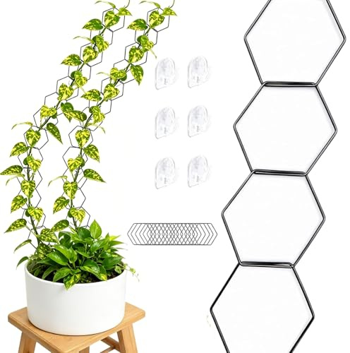 18 Stück Metall Rankhilfe Wand mit 6 Haken, Ketterpflanzen Rankhilfe, Kletterhilfe Pflanzen, DIY Pflanzenhalter Wand für Indoor Plants, Rankhilfen Zimmerpflanzen für Monstera Efeutute Pothos