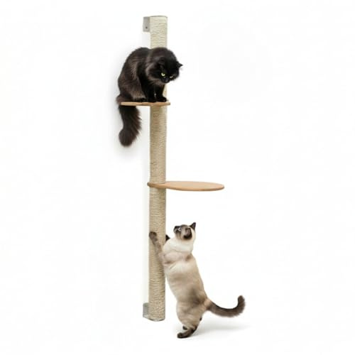 eyepower 132 cm Wandkratzbaum Luna mit 2 Plateaus zum Klettern - Kratzbaum Groß für Katzen - Kletterbaum mit Wandhalterung - Katzenbaum zur Wandmontage - Kletterwand Katze Kratzstamm Kratzsäule Wand