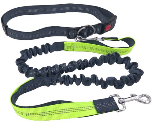 QitinDasen Grau Freihändige Hundeleine, Verstellbarer Hüftgurt und Dual Griffen Dehnbare Bungee-Leine, Jogging Hundeleine mit Reflektierenden Nähten (Grün Griff)