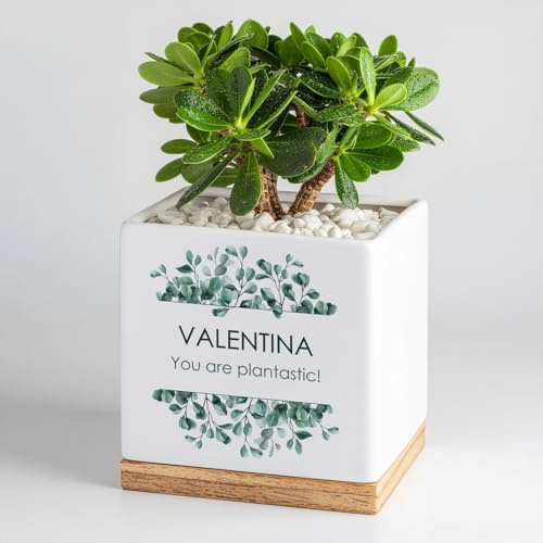 Maverton Fioriera, ceramica, stampa personalizzata, dimensioni 13,5 x 13 x | 13 Cm, vassoio sottovaso, vaso per fiori quadrato, regalo feste, pensiero originale per donna, you are plantastic