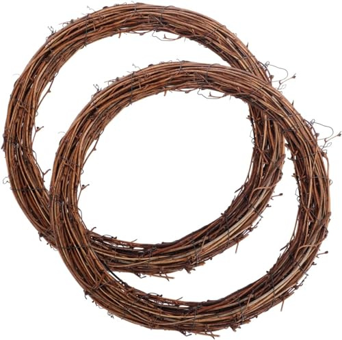 2 Pieces 25 cm Large Natural Grapevine Wreathes Vine Branch Wreath Easter Rattan Wreath for Easter Door/Wall Decor Hand-woven Christmas Wreath (25cm)
