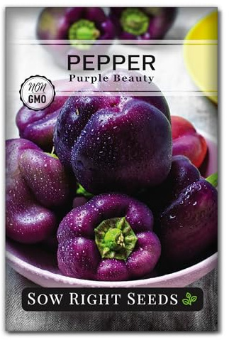 Sow Right Seeds - Purple Beauty Pepper Seeds for Planting - Non-GMO Heirloom Packet with Instructions to Plant and Grow an Outdoor Home Vegetable Garden - Sweet Bell Variety, Violet Purple (1)