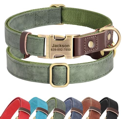 Didog Personalisiertes Hundehalsband aus PU-Leder, weich, langlebig, benutzerdefinierte Hundehalsbänder, verstellbares Weihnachts-Hundehalsband mit Namensschild und Schnellverschluss-Metallschnalle
