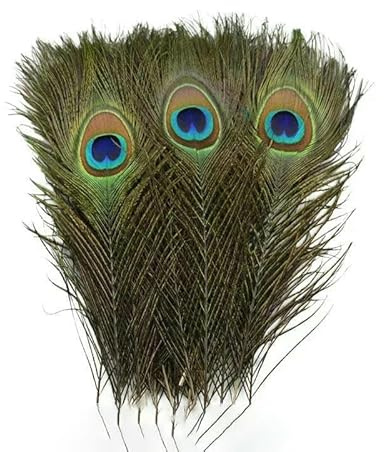 Lot de 20 plumes de paon naturelles pour décoration de vases, longues et grandes, pour la maison, bijoux, artisanat, accessoires (25-30 cm)