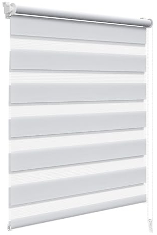 WOLTU Doppelrollo Klemmfix ohne Bohren 100x120 cm, Grau | Duo Rollos für innen Fenster & Tür, Zebrarollo Lichtdurchlässig Fensterrollo Seitenzugrollo Verdunkelnd, Stoffbreite 97 cm