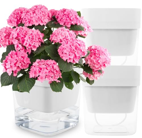 Iraza 3pcs Selbstbewässerungstopf mit Baumwollseil Kunststoff Automatisch Wassergasblüte Multifunktional Pflanze und Blumentopf Selbstbewässerung Topf für Pflanzen Blumen(3 Outfit-Weiß-Trompete)