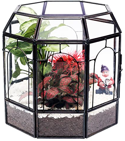 REDHUGO Großes Glas-Terrarium, handgefertigt, Tafelaufsatz-Schaufelbox, Geschenk-Pflanzgefäß-Behälter, Innenbereich, Terrarien, Haus für Sukkulenten, Kakteen, Luftpflanzen, Miniatur-Feengarten