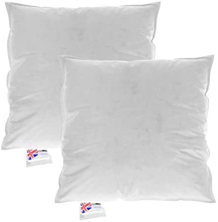 HOMESCAPES Coussin de garnissage en Duvet et Plumes d’oie et Coton, Coussin à recouvrir 60x60 cm, Lot de 2