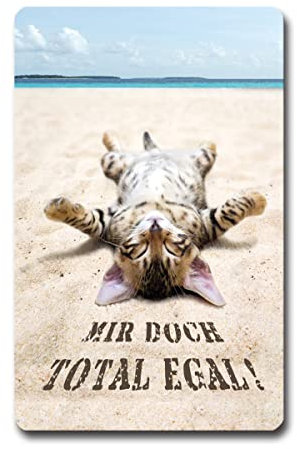 TRIOSK Kühlschrankmagnete Sprüche Tiere Magnet Katze lustig mit Katzen Spruch Total Egal Katzenmotiv Katzenmagnet Geschenk für Katzenliebhaber Kühlschrank stark eckig groß 55x85 mm Hoch