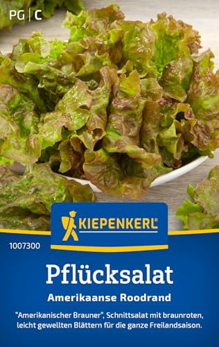 Kiepenkerl Pflücksalatsamen Amerikaanse Roodrand 1007300 - Schnittsalat mit braunroten, leicht gewellten Blättern - Gemüsepflanzen, Saatgut, Samen Gemüse
