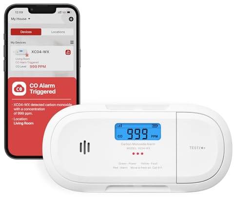 X-Sense Smart Carbon Monoxide Detector, Wi-Fi CO Detector, Real-Time Push Notifications via X-Sense Home Security App, Replaceable Battery, XC04