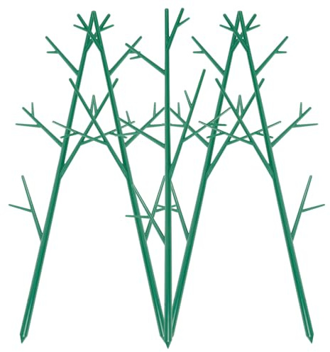 Parliky Lot de 5 Tuteurs pour Plantes Grimpantes en Matériau Stable Supports pour Pots de Fleurs Treillis Grimpant pour Jardin et Balcon Adaptés aux Plantes d'Extérieur et d'Intérieur