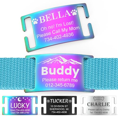 YEHANTI Hundemarke mit Gravur - Personalisierte Anhänger Marke für Hunde, und Katzen mit Symbole- Edelstahl Hundemarke Personalisiert mit Name, Telefonnummer und Adresse (S, Bunt)