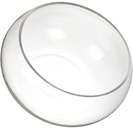 Garneck Kugelvase Aus Glas – Großes 15 cm Aquarium Für Fische Und Pflanzen – Klare Blasenschale Als Stilvolles Mittelstück Oder Deko-Objekt – Ideal Für Sukkulenten Und Blumen