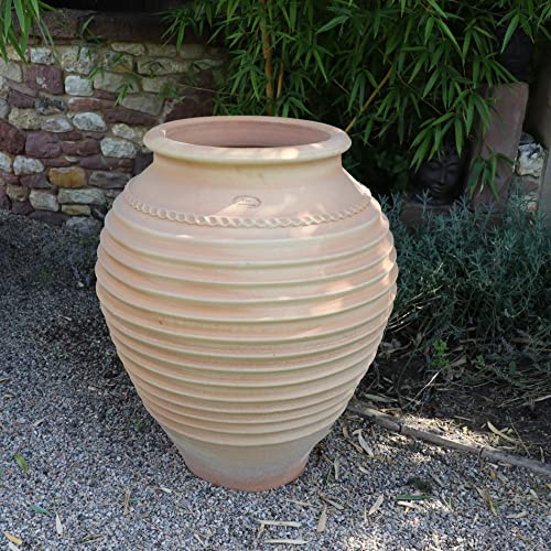 Palatina Werkstatt Exklusive Terracotta Amphore Ficus 80cm - 100% handgemachtes Unikat für Garten & Zuhause - Eine Zeitlose Schönheit aus Griechenland