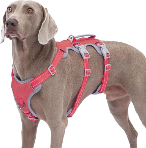 Huntboo Fluchtgeschirr für Hunde,Hundegeschirr ohne Entweichen, Hundegeschirr ohne Ziehen für Große Hunde mit Griff,Reflektierend,Haltbar,Verstellbare Weste für Spaziergänge, Training (Rot,XL)