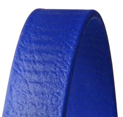 wasserdichte Schleppleine 16mm breit für Hunde, 3m bis 25m mit robustem Karabiner, Wasserfest Hundeleine, Laufleine für Große bis Kleine Hunde, Reißfeste Trainingsleine (blau, 10m)