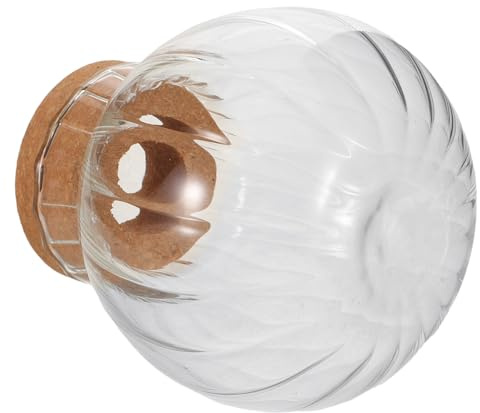 DIYEAH Vase Hydroponique en Verre Transparent pour Propagation de Plantes, Vase de Bureau Petit Format avec Substrat en Perlite, Support à Boutures Décoratif pour Jardinage D’intérieur