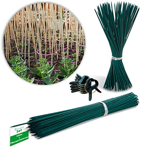 Novatool 100X Splittstäbe 50 cm und 20x Pflanzensicherung I Rankhilfe Zimmerpflanze I Bambusstange Pflanzensicherung Pflanzen Stütze I Pflanzenstütze Holzstab Plant Stakes Clip