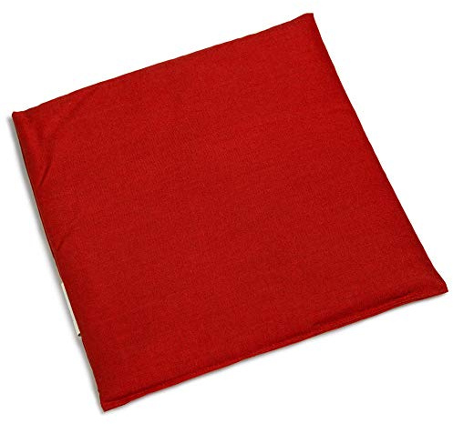 Cuscino termico con semi di uva spina 24 x 24 cm, tessuto biologico rosso, piccolo cuscino ai semi utilizzabile come cuscino riscaldante o impacco freddo