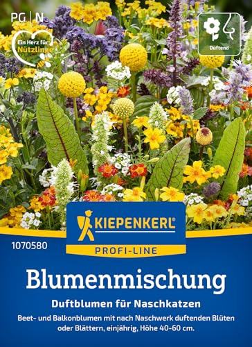 Kiepenkerl Blumensamen-Mischung Duftblumen für Naschkatzen 1070580 | Nach Naschwerk duftende Blüten, aromatisch, für Beet & Hochbeet
