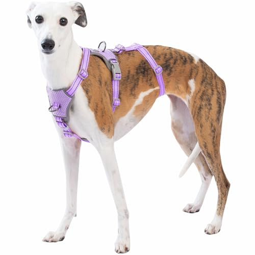 Huntboo Sicherheitsgeschirr Hund Ausbruchsicher, Panikgeschirr für Hunde, Anti Zug Hundegeschirr, Reflektierend, Verstellbare, Leichte Weste für kleine, mittelgroße und große Haustiere (Lila,S)