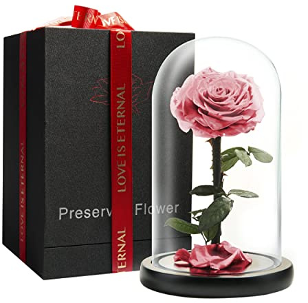 LOVAPPY Forever Preserved Rose - Ewige Rose in Glaskuppel - Die Schöne und das Biest Rose für Mama - Frische Blumen für Lieferung Prime (Rosa, 22,9 cm)