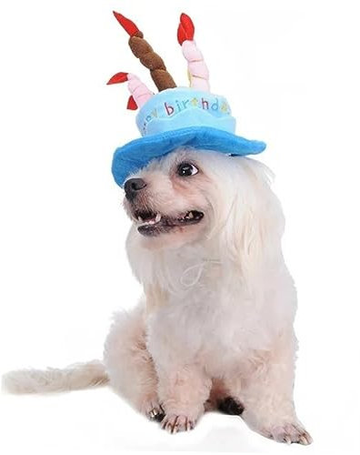 Yardwe Partyhüte Hüte Haustierhut Katzen- Mittelgroße Haustiermütze Kappen Haustiergeburtstag Transformationshüte Hundegeburtstagshut Mit Kuchenkerzendesign Die Katze Der Hund