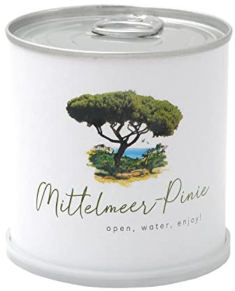 MacFlowers® | Anzucht-Set mit Mittelmeerpinie | eine Sorte Samen | Mediterranes Nachhaltiges Geschenk in süßer instant gardening Blumendose