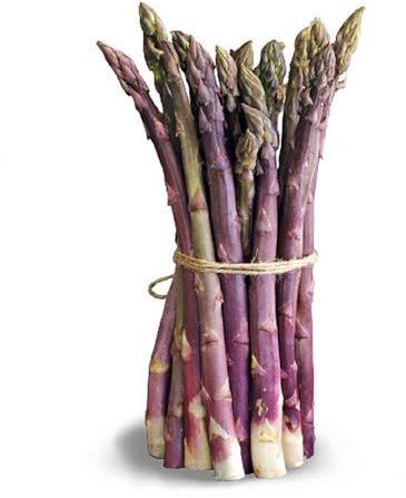 SAVINI VIVAI Zampe di Asparago da Coltivare Casa Orto Giardino Zampe di Asparagi in confezione Made in Italy Viola Purple Passion [PZ 10]