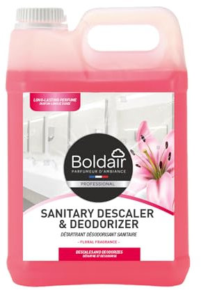 BOLDAIR- Détartrant & désodorisant sanitaire- Parfum floral- Triple action- Détartre, fait briller & désodorise- 5L- Fabrication française