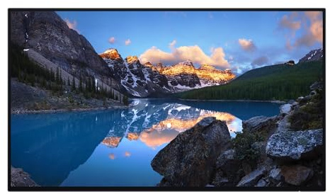 Dell UltraSharp U2424H skaerm - LED Bag