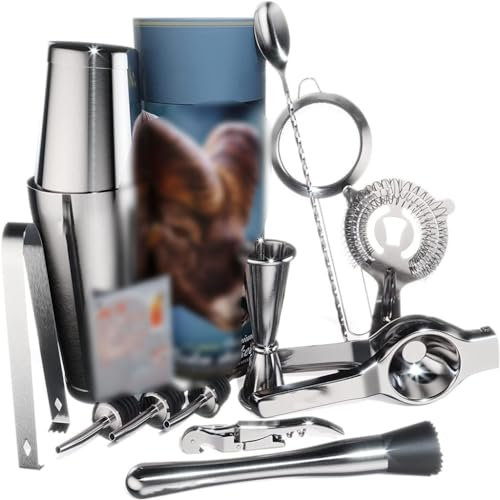 ZGYOZMNG Scatola Regalo Cilindro Boston Shaker Set 14 pezzi Shaker Set Completo di accessori da Bar Lemon Clip (D 750ml)
