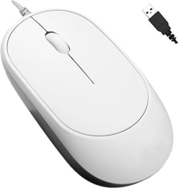 YIZITU Souris Ergonomique À Fil Fin avec Conception Antistatique 1000 DPI PS2s USB Deux Interfaces pour Ordinateurs Industriels De Bureau Souris PC Industrielle