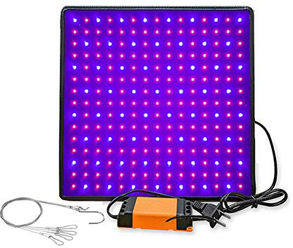 Faucet LED Grow Light Full Spectrum 1000W 3500K Phyto Lamp para Plantas Led Grow Lights para Interiores Cultivo de Plantas lámpara Grow Tent Box Growth,Blue and Red
