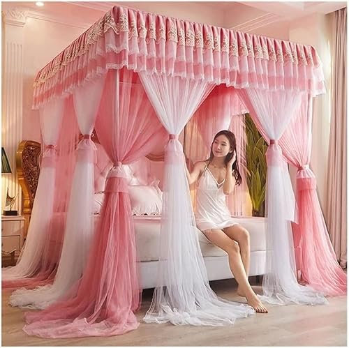 EsEntL 4 Ecken Pfosten-Himmelbett-Vorhang, Prinzessin, bestickte Spitze, Rüschen, Betthimmel, Betthimmel-Vorhang für Mädchen und Erwachsene, Doppellagiges, durchsichtiges Mesh-Moskitonetz