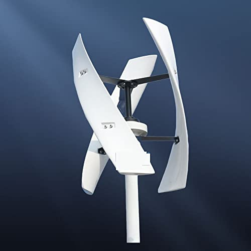 Vindkraftverk, 6000W Vertical Axis Energy Windmill Windturbin Generator 12V 24V 48V Med MPPT Hybrid Controller for hemmabruk(Option 2,Wit,24V)