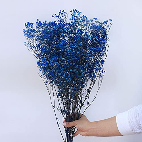 YIWOYI Ramo de flores secas naturales Gypsophila Paniculata preservadas para decoración del hogar y fiestas de boda (azul cobalto, 40-55 cm, 80 g)