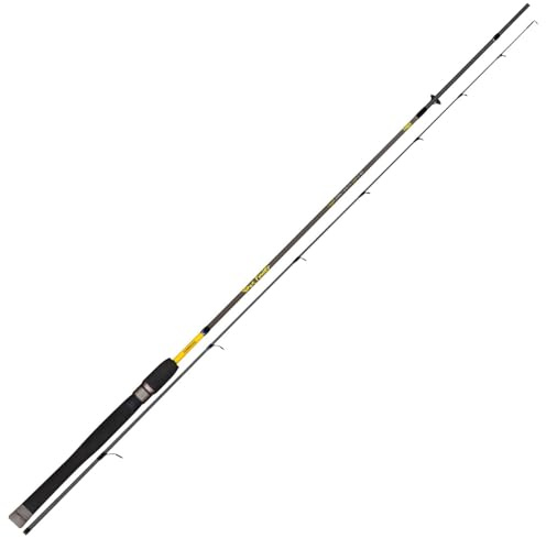 Tubertini 1,96m 2-6g Virus Power - Spoonrute zum Forellenfischen, Spinnrute für Forellenköder, Ultra Light Rute für Forelle, Forellenrute