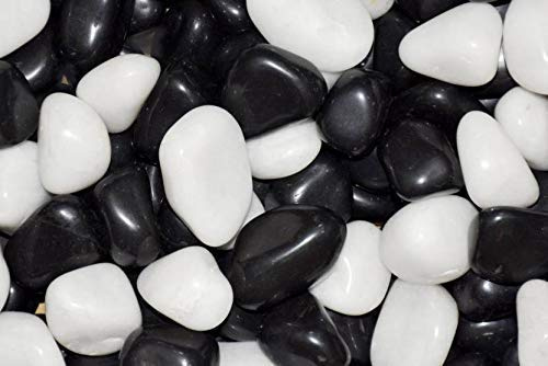 Generic Seawave Creatures Stone Glossy And Decorative Garden And Glass Pebbles Marble Polished - Black And White, Natural Stone (900G)