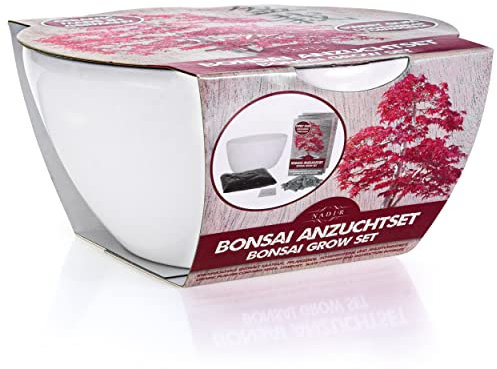 Bonsai Set Anzuchtset Bonzai Starter Kit tree Baum zum Verschenken Geburtstagsgeschenk- Porzellan Schale aus Deutschland Samen + Keramik + Lavasteine + Erde + Broschüre (Sweet Gum)