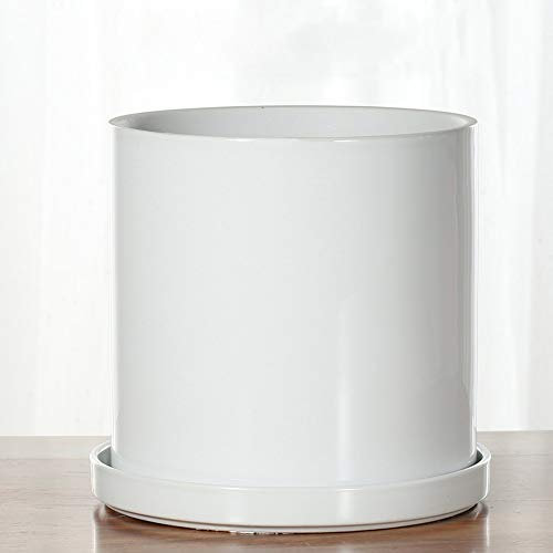 GImLY Kaktus-Blumentopf Blumentopf Weiß Dekorativer Innenbehälter Keramik Weiß Rund Einfaches Design Sukkulententopf Sukkulenten-Übertopf Keramiktopf (Color : Bright White, Size : 17 * 17.4cm)