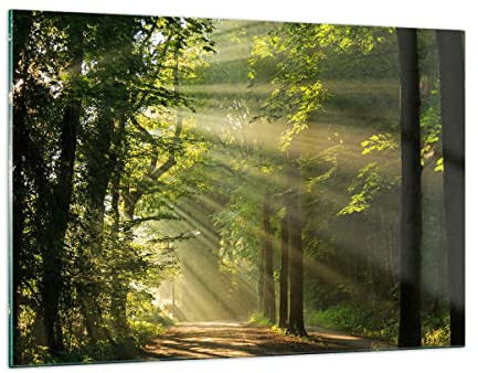 ARTTOR Bilder auf Glas 120x80cm Wandbild Glasdruck Landschaften Wald - 3661 | Baum Natur Groß XXL Modern Dekoration Wohnzimmer Schlafzimmer Küche Wanddeko Kunstdruck Art Wall Decor ARTTOR