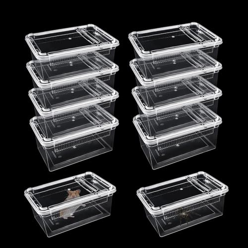10 cajas de alimentación para reptiles, terrario de plástico con recinto de isópodos, caja de cría de reptiles para gecko barbudo, dragón, lagarto, rana, araña, portador de reptiles (transparente)