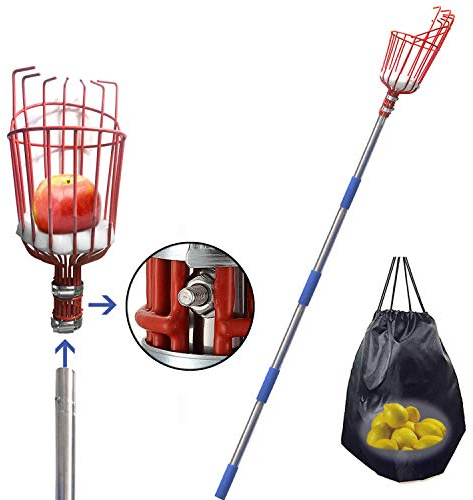 FLY HAWK Fruit Picker Tool, 5.5 Foot-Long Picker Equipped with Lightweight Stainless Steel to Pick Apples, Oranges and Fruit Trees