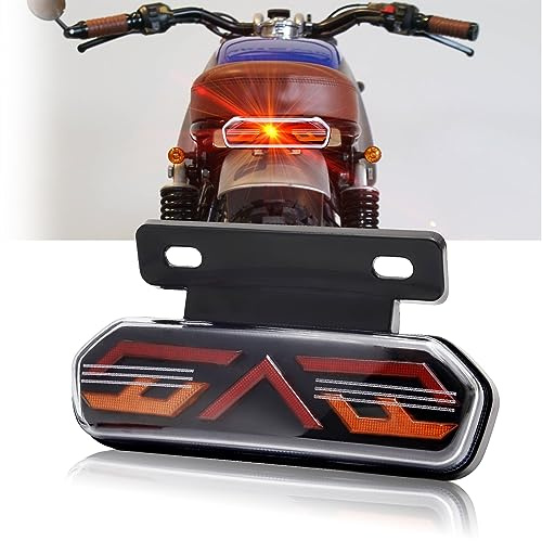 Biqing 12V Feu arrière de Moto,Universel Feu arrière de Moto Feu de Freinage,Indicateurs de Clignotant Lampe de marche avec Support de plaque d'immatriculation