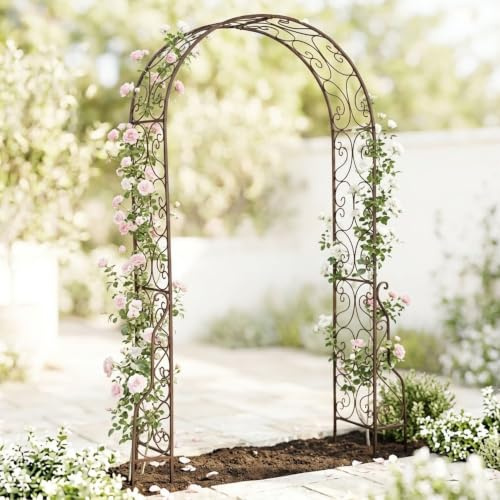 DanDiBo Rosenbogen aus Metall Stabil 160 cm Breit Rankbogen 96025 Gartenbogen Torbogen Rundbogen Pflanzbogen Massiv Garten Wetterfest