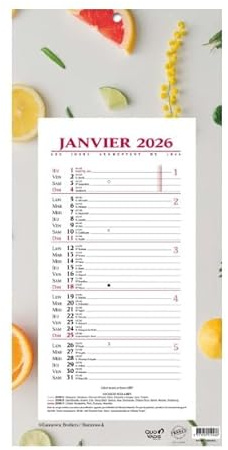 1 Plaque Calendrier Mensuel Long - Motifs Agrumes - Janvier 2026 à Décembre 2026 - Format 16 x 33,3 cm