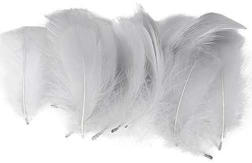 BDBFPAN 200 Stück Federn Zum Basteln, 5-8Cm Weiße Federn Zum Basteln Federn Und Grau Federn Weiss Weich Grau Federn für Handwerkliche Produktion Und Styling Design